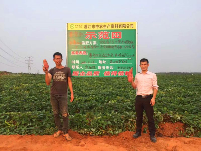 湛江中農副本