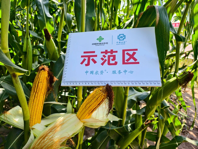 微信圖片03_副本